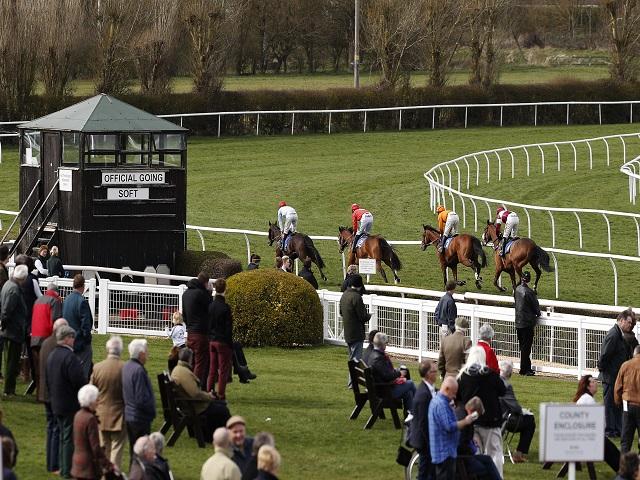 Tony believes Long House Hall is worth backing at Market Rasen (above)